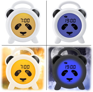 BC100PANDA braun