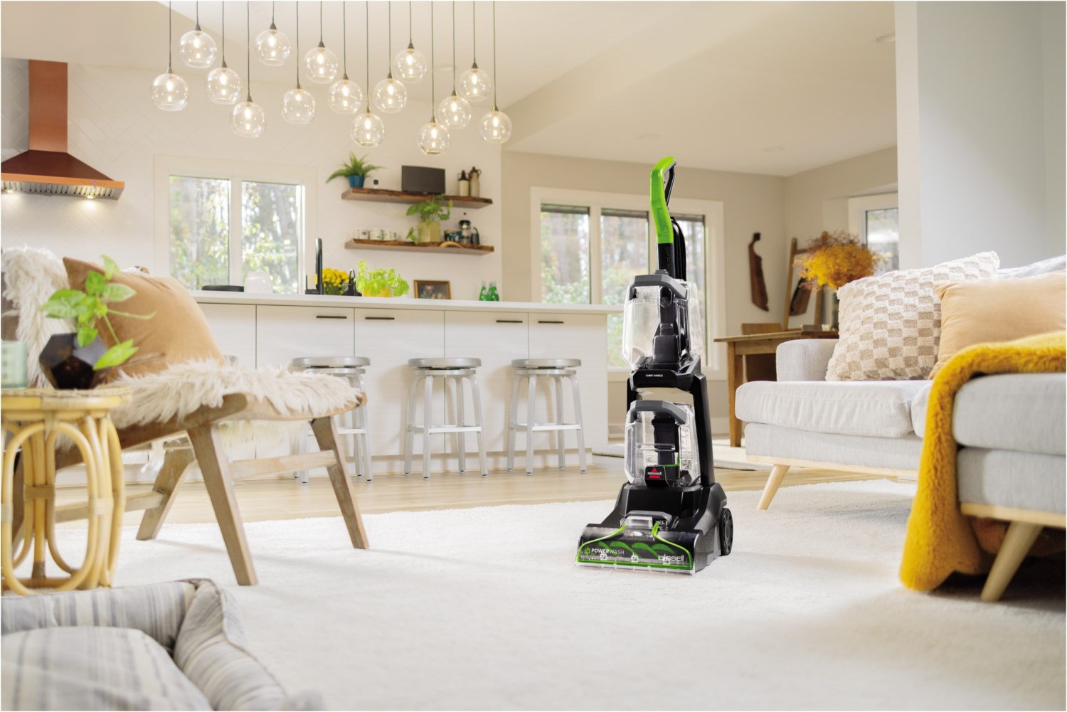 3878N Powerwash Pet