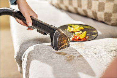 3878N Powerwash Pet