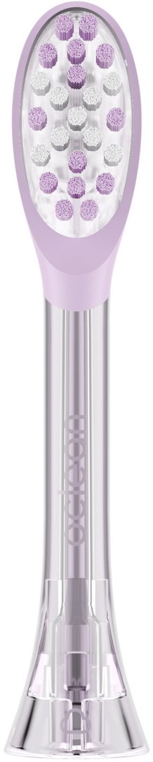 Brush Head Easy Clean 2er-Pack lila